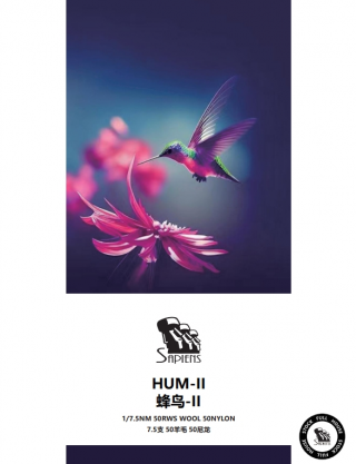 蜂鸟-II-HUM-II