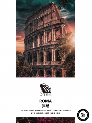 罗马-ROMA