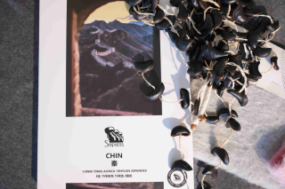 秦-CHIN