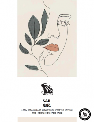 御风-SAIL 