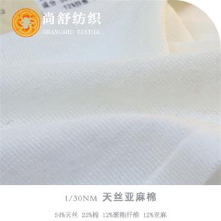 1/30NM 天丝亚麻棉