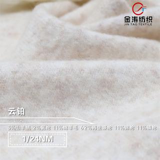1/24NM 云铂