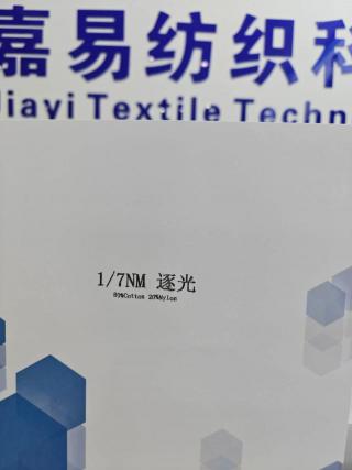 逐光