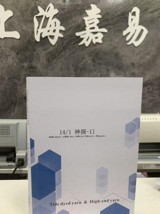 神探-ll