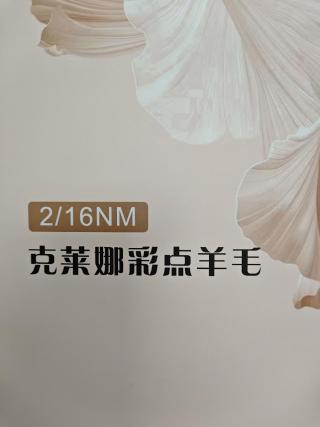 2/16NM克莱娜彩点羊毛