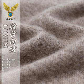 1/18NM欣欣向
