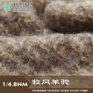 1/4.8NM牧风羊驼