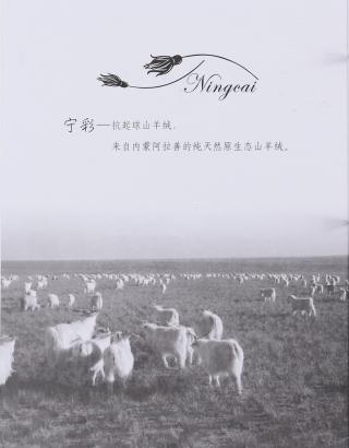 26NM/2抗起球山羊绒