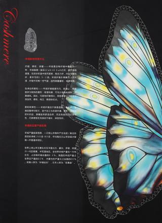 2/26NM CASHMERE COLLECTION