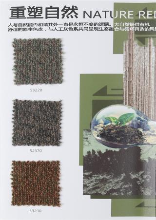 红太羊绒 2020-21合股色卡