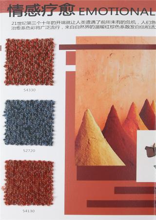 红太羊绒 2020-21合股色卡